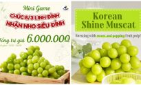 K-Grape tặng quà nho mẫu đơn Shine Muscat nhân ngày 8/3