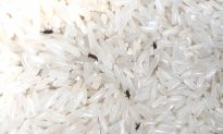 4 cách đơn giản và hiệu quả giúp xua đuổi mọt gạo