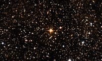 Ngôi sao lớn nhất trong vũ trụ lớn hơn Mặt trời của chúng ta 1.700 lần