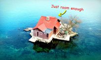 Hòn đảo có người ở nhỏ nhất thế giới chỉ có một ngôi nhà và một cái cây