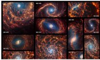 19 thiên hà xoắn ốc rực rỡ mới được JWST phát hiện gần Dải Ngân hà của chúng ta