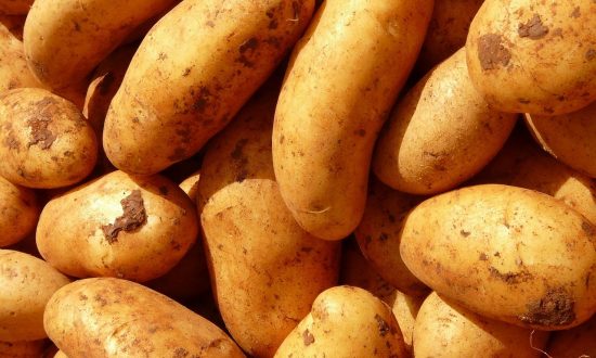 Bí quyết bảo quản khoai tây trong thời gian dài không lo mọc mầm