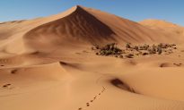Cồn cát hình sao cao 100 mét ở Sahara ‘trẻ bất ngờ’, theo nghiên cứu