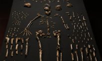 Phát hiện một chủng người đã tuyệt chủng biết chôn người chết từ 240.000 năm trước