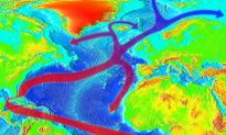 Dòng hải lưu Gulf Stream đang chậm lại và có thể gây ra các thảm họa?