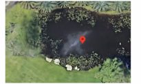 7 bí ẩn ly kỳ mà người dùng Google Earth phát hiện ra: Bức ảnh "cá voi" trong ao thu hút sự chú ý