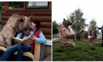 Chú gấu Stepan: Người bạn đồng hành đặc biệt của đôi vợ chồng già