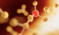 Các hạt nano lipid gây viêm trong tế bào, nhưng có thể giảm thiểu tổn thương nếu sử dụng đúng loại: Bản in sơ bộ của Đại học Pennsylvania