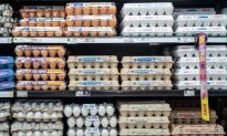 Tại sao trứng nâu đắt hơn trứng trắng? Sự thật bất ngờ