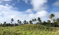 Tàn tích thành phố cổ Tonga hé lộ bí ẩn về nền văn minh Thái Bình Dương cổ đại
