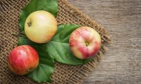 Ăn táo thường xuyên giúp giảm nguy cơ đột quỵ do mỡ máu cao