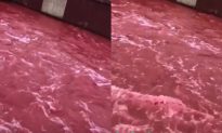 Nước sông ở Tứ Xuyên, Trung Quốc bỗng chuyển sang màu đỏ như máu