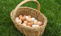 Ăn bao nhiêu trứng mỗi ngày là tốt nhất? Nghiên cứu mới tiết lộ câu trả lời