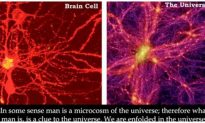 Vũ trụ và não bộ: Hai thế giới song song với những điểm tương đồng kỳ diệu