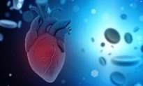 Nghiên cứu mới cho thấy hơn một phần tư người cao tuổi 'khỏe mạnh' mắc bệnh van tim không có triệu chứng