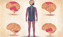 Bại não: triệu chứng, nguyên nhân, điều trị và các phương pháp tự nhiên