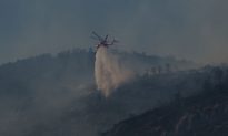 Cháy rừng bùng phát liên tục ở Hy Lạp, 'lá phổi của thủ đô' núi Parnitha cũng bùng cháy dữ dội