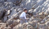 Người cha yêu cầu cậu con trai nhỏ di chuyển một tảng đá nặng, phía sau đó là bài học sâu sắc